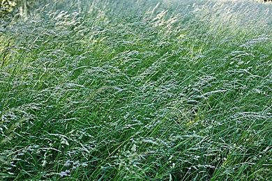 《消逝的光芒2》微交易引众怒 Techland进行回应